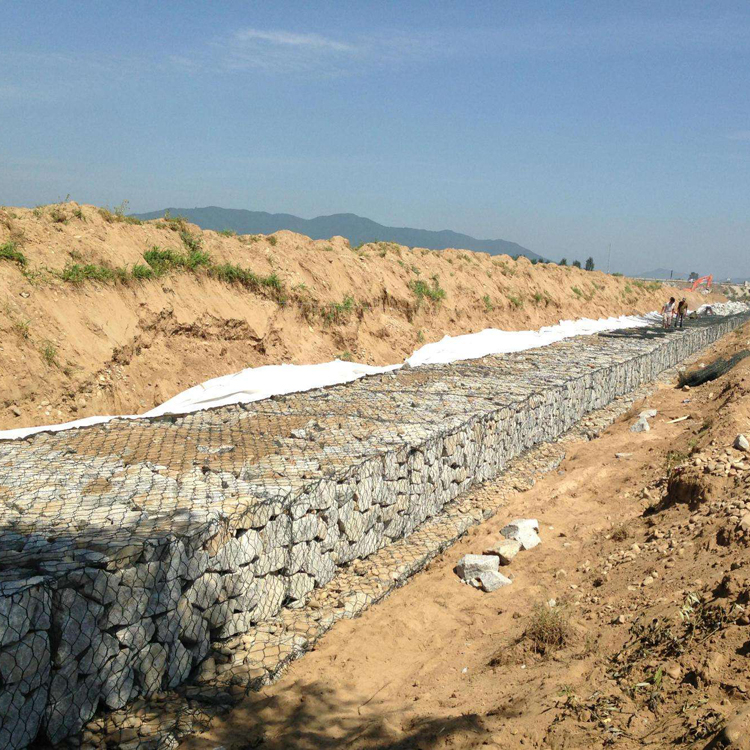 福建雷諾護墊圖片2 福建雷諾護墊圖片2