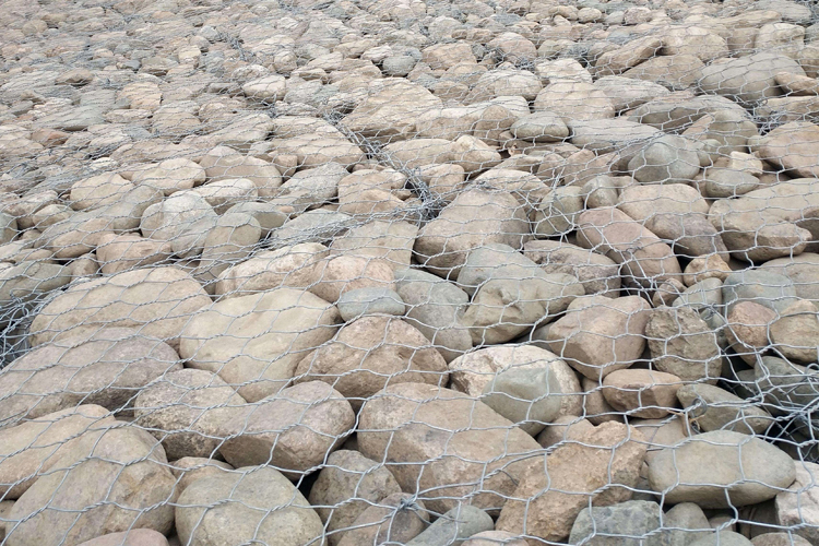 福建雷諾護墊圖片3 福建雷諾護墊圖片3