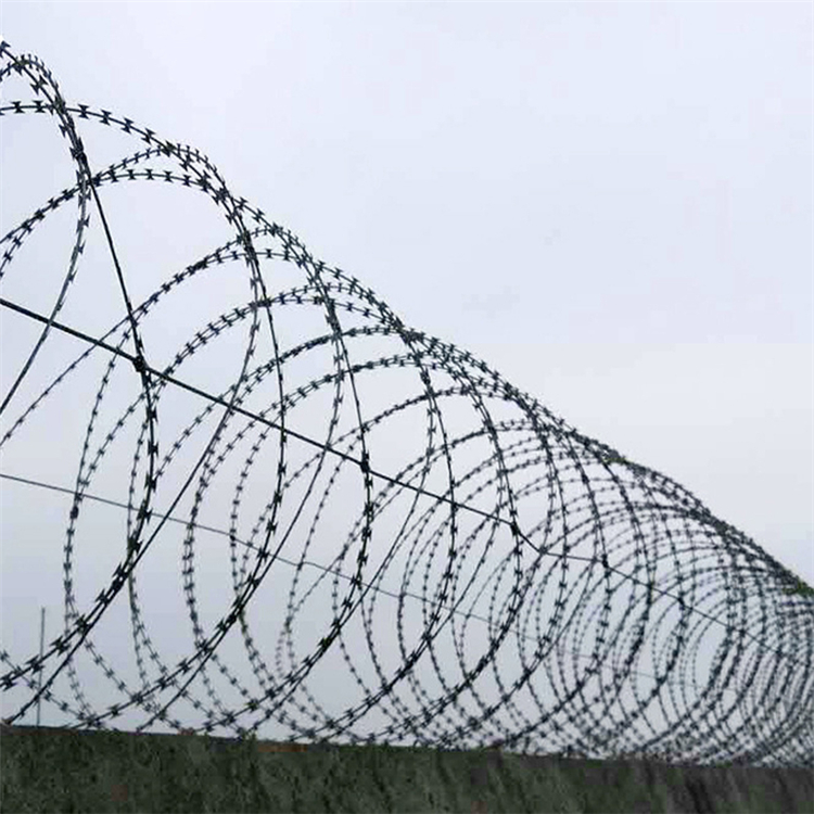 刺絲滾籠圖片1 刺絲滾籠圖片1