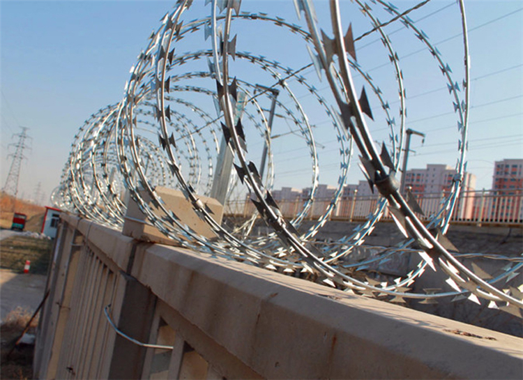 刺絲滾籠圖片2 刺絲滾籠圖片2