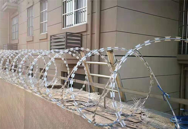 刺絲滾籠圖片3 刺絲滾籠圖片3