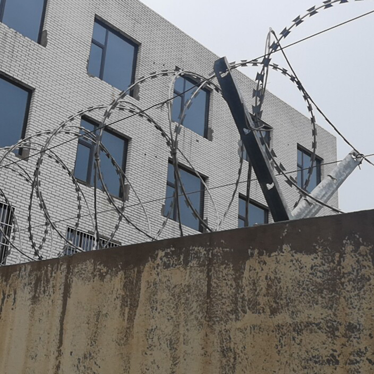 螺旋式刀片刺網(wǎng)圖片4 螺旋式刀片刺網(wǎng)圖片4