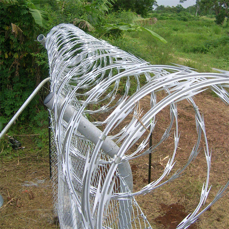 刀片刺網滾籠圖片4 刀片刺網滾籠圖片4