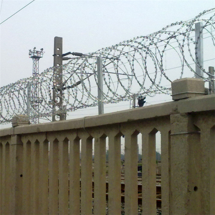 蛇形刀片刺繩圖片3 蛇形刀片刺繩圖片3