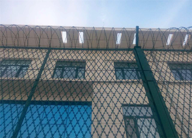 雙刀片防攀爬網