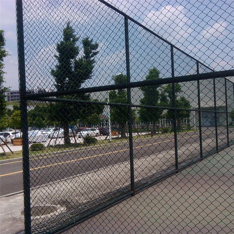 4米高球場圍網圖片4 4米高球場圍網圖片4