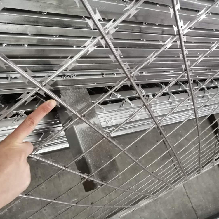 福建監獄金屬隔離網圖片2 福建監獄金屬隔離網圖片2