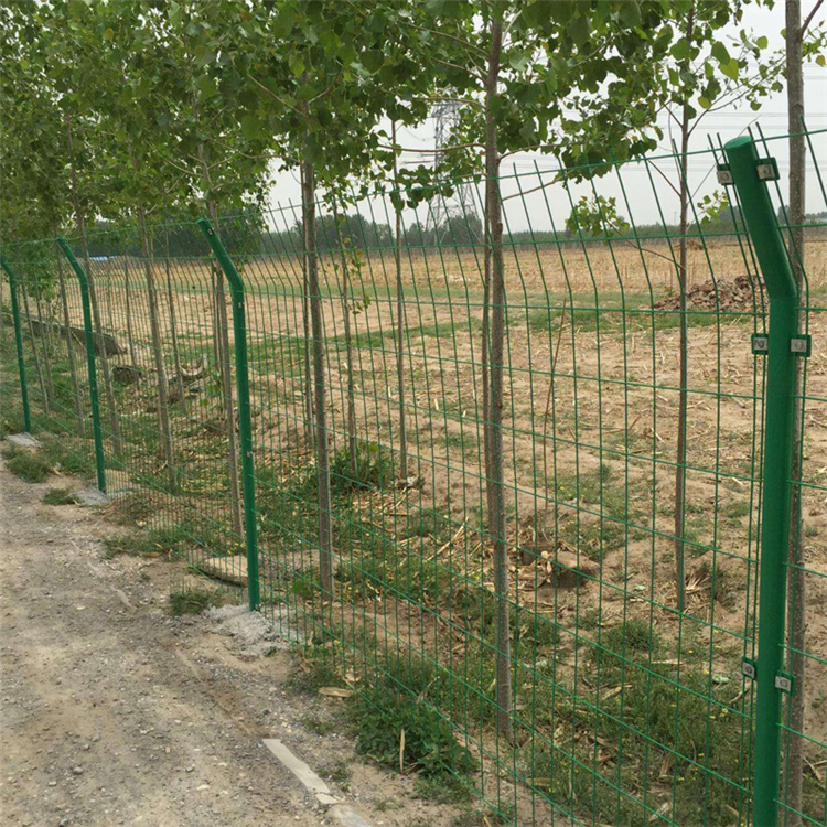 福建農場金屬隔離柵圖片4 福建農場金屬隔離柵圖片4