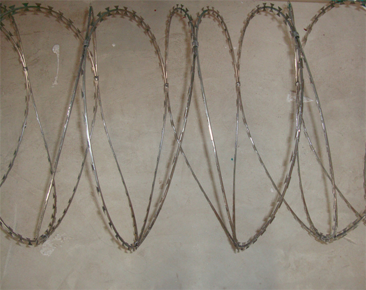 山東刀片刺網?圖片3