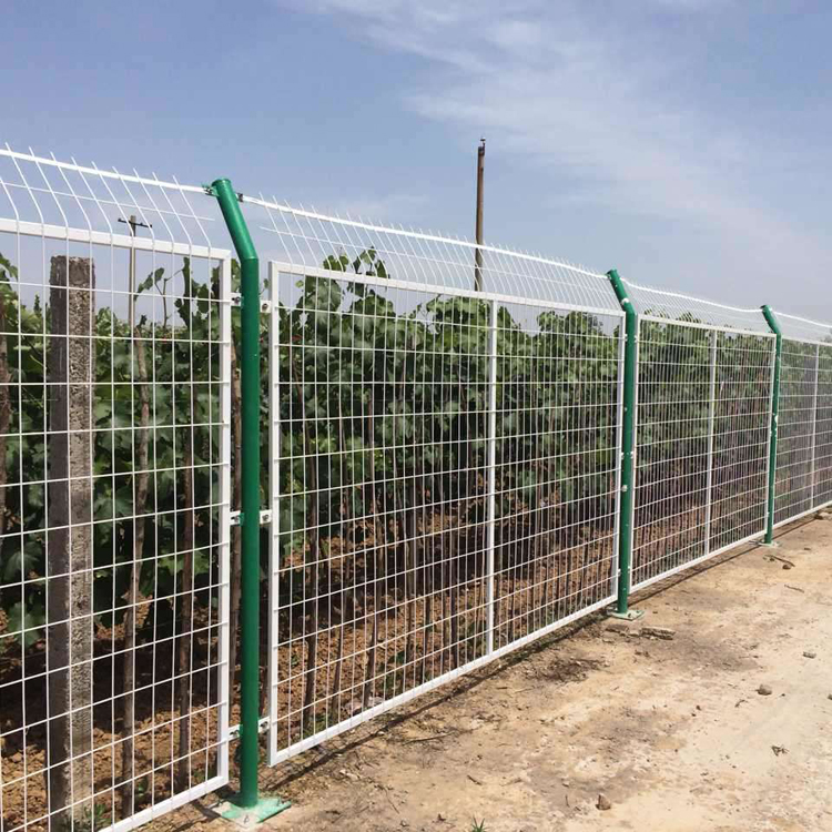 園林綠化防護網圖片4 園林綠化防護網圖片4