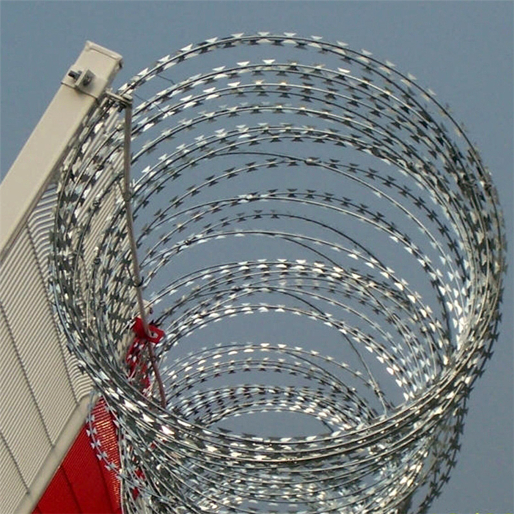 四川刺絲滾籠圖片2 四川刺絲滾籠圖片2