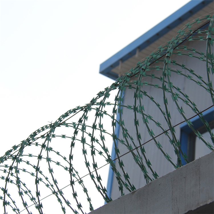 四川刺絲滾籠圖片3 四川刺絲滾籠圖片3