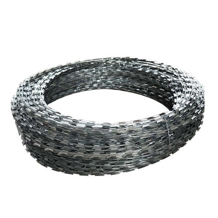 四川刺絲滾籠圖片4 四川刺絲滾籠圖片4