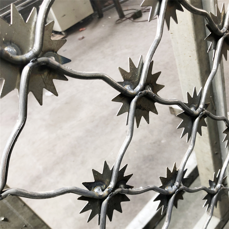 山東熱鍍鋅梅花刺隔離網圖片4