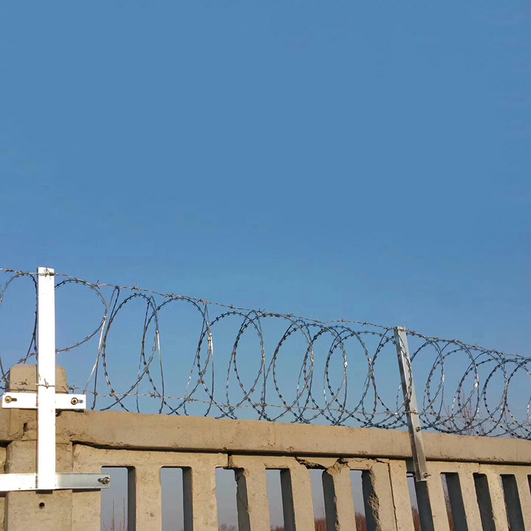 福建蛇形刀片刺網