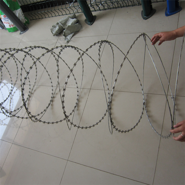 福建蛇形刀片刺網圖片2 福建蛇形刀片刺網圖片2