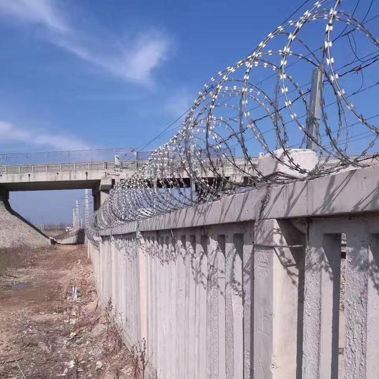 福建防爬刀刺網(wǎng)圖片3 福建防爬刀刺網(wǎng)圖片3