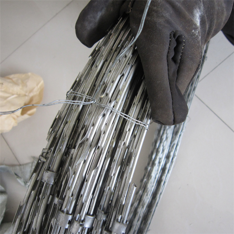 福建防爬刀刺網(wǎng)圖片4 福建防爬刀刺網(wǎng)圖片4