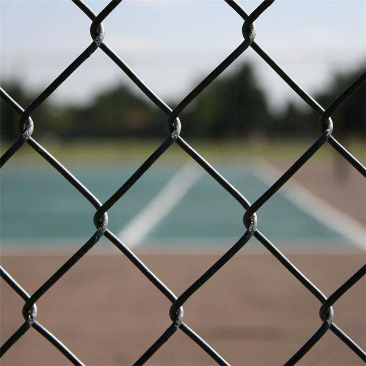 體育場勾花圍網(wǎng)圖片3 體育場勾花圍網(wǎng)圖片3