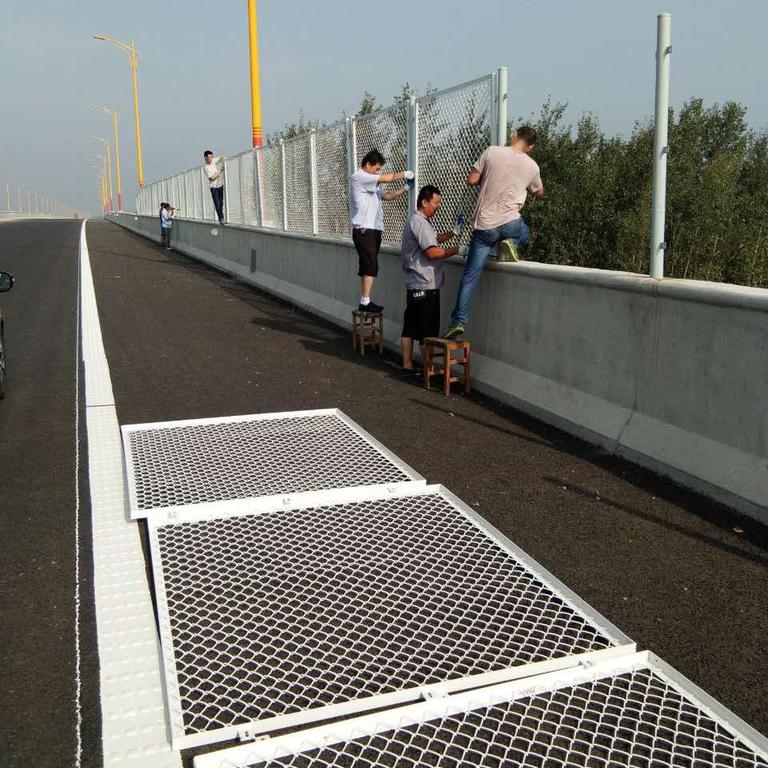 寧夏道路隔離網(wǎng)案例圖片2 寧夏道路隔離網(wǎng)案例圖片2