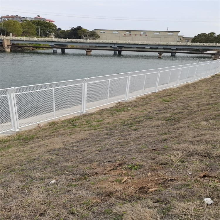 安徽云南水庫鋼鐵絲網工程案例