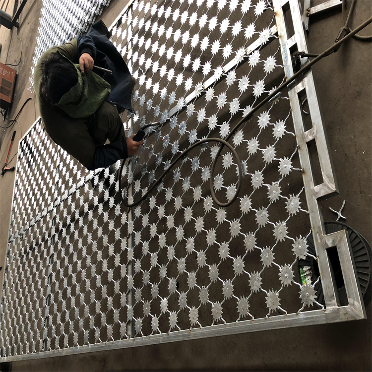 安徽監獄熱鍍鋅梅花刺片隔離網生產安裝圖片1 安徽監獄熱鍍鋅梅花刺片隔離網生產安裝圖片1