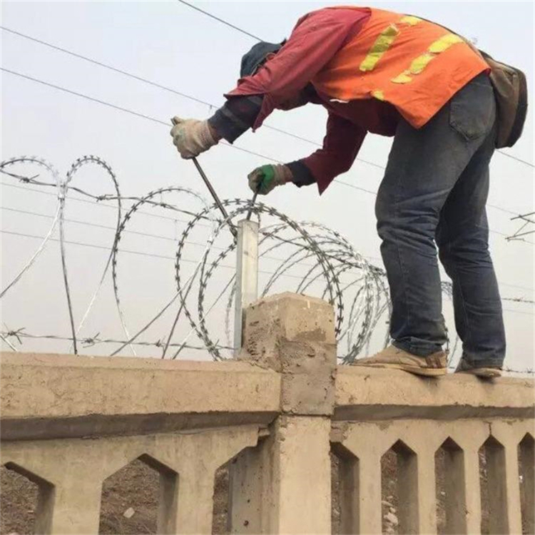 廣東熱鍍鋅刀片刺繩刺絲滾籠圖片4 廣東熱鍍鋅刀片刺繩刺絲滾籠圖片4